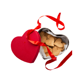 Biscuit Box