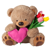 Softie Teddy